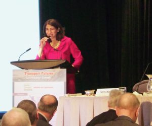 MPP Dipika Damerla