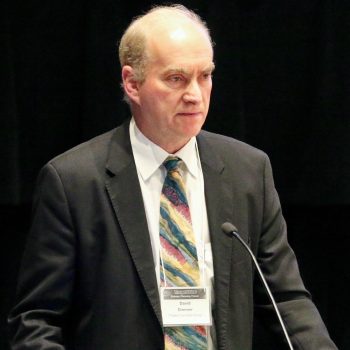 David Dimmer, Thales